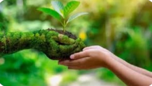 मनुष्य का प्रकृति से क्या सम्बन्ध है!