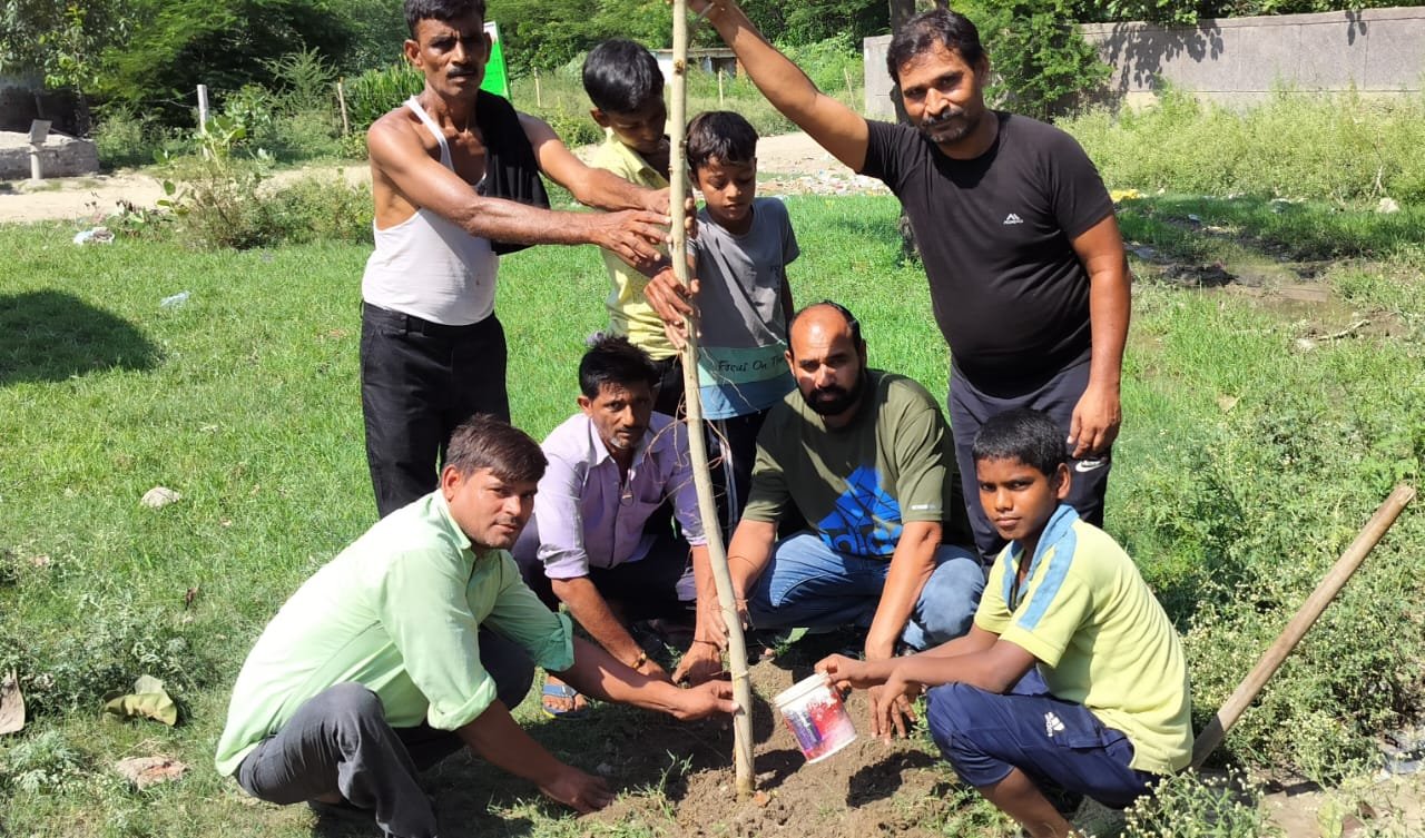 ग्रामीण विकास समिति ने किया वृक्षारोपण