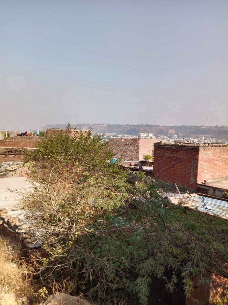 ऐतिहासिक अमरा पहाड़ पर भू माफिया का कब्जा,बनाये150 से अधिक मकान