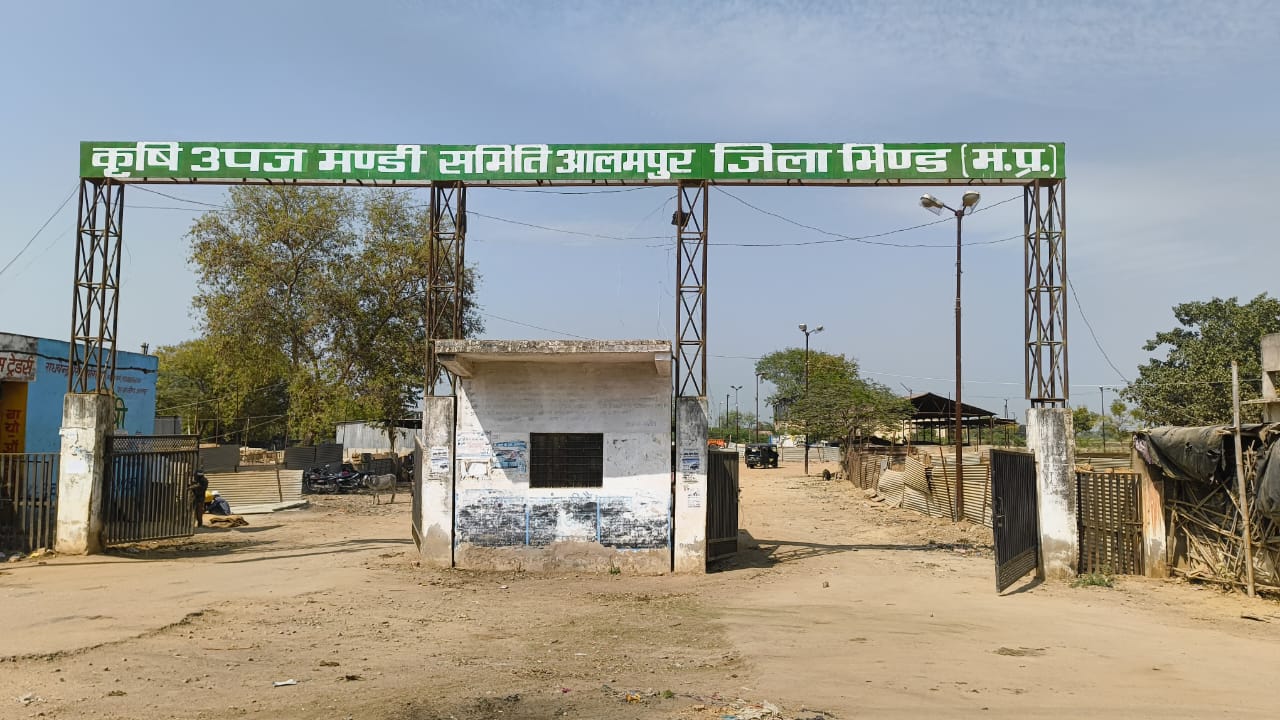 कृषि उपज मंडी आलमपुर में चल रहा बाबू राज!