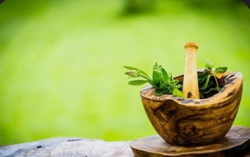 भारत की पुरातन चिकित्सा पद्धति है आयुर्वेद